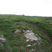 Digital photograph of panel in context with scale, from Scotland’s Rock Art Project, High Banks 3, Dumfries and Galloway