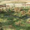 Digital photograph of panel before cleaning, from Scotland’s Rock Art Project, Newlaw Hill 1, Dumfries and Galloway