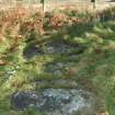 Digital photograph of panel in context with scale, from Scotland’s Rock Art Project, Newlaw Hill 1, Dumfries and Galloway