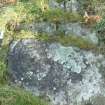 Digital photograph of close ups of motifs, from Scotland’s Rock Art Project, Newlaw Hill 1, Dumfries and Galloway