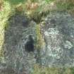 Digital photograph of close ups of motifs, from Scotland’s Rock Art Project, Newlaw Hill 1, Dumfries and Galloway