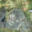 Digital photograph of close ups of motifs, from Scotland’s Rock Art Project, Newlaw Hill 1, Dumfries and Galloway