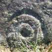 Digital photograph of close ups of motifs, from Scotland’s Rock Art Project, Newlaw Hill 1, Dumfries and Galloway