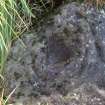 Digital photograph of close ups of motifs, from Scotland’s Rock Art Project, Newlaw Hill 1, Dumfries and Galloway