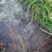 Digital photographs of rock art panel context, Scotland's Rock Art Project, Newlaw Hill 1, Dumfries and Galloway