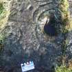 Digital photograph of close ups of motifs, from Scotland’s Rock Art Project, Newlaw Hill 1, Dumfries and Galloway