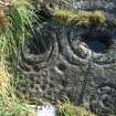 Digital photograph of close ups of motifs, from Scotland’s Rock Art Project, Newlaw Hill 1, Dumfries and Galloway