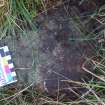 Digital photographs of rock art panel context, Scotland's Rock Art Project, Newlaw Hill 1, Dumfries and Galloway