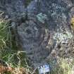 Digital photograph of close ups of motifs, from Scotland’s Rock Art Project, Newlaw Hill 1, Dumfries and Galloway