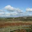 Digital photograph of panel to north, from Scotland’s Rock Art Project, Newlaw Hill 1, Dumfries and Galloway