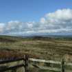 Digital photograph of panel to west, from Scotland’s Rock Art Project, Newlaw Hill 1, Dumfries and Galloway
