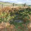 Digital photograph of panel in context without scale, from Scotland’s Rock Art Project, Newlaw Hill 1, Dumfries and Galloway