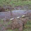 Digital photograph of panel, from Scotland’s Rock Art Project, Park of Tongland 1, Dumfries and Galloway