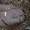 Digital photograph of perpendicular to carved surface(s), from Scotland’s Rock Art Project, Park of Tongland 1, Dumfries and Galloway