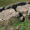Digital photographs of rock art panel context, Scotland's Rock Art Project, Carlin Crags 1, East Renfrewshire