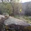 Digital photographs of rock art panel context, Scotland's Rock Art Project, Rogie Farm 19, Highland