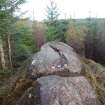 Digital photograph of panel to east, from Scotland's Rock Art Project, Rogie Farm 19, Highland