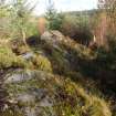 Digital photograph of panel to east, from Scotland's Rock Art Project, Rogie Farm 19, Highland