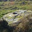 Digital photograph of rock art panel context, Scotland's Rock Art Project, Allt an Airgid, Stirling