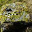 Digital photograph of rock art panel context, Scotland's Rock Art Project, Allt an Airgid, Stirling