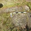 Digital photograph of rock art panel context, Scotland's Rock Art Project, Lurgan Farm 5, Perth and Kinross