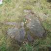 Digital photograph of rock art panel context, Scotland's Rock Art Project, Lurgan Farm 5, Perth and Kinross