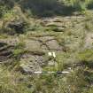 Digital photograph of rock art panel context, Scotland's Rock Art Project, Lurgan Farm 5, Perth and Kinross