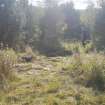 Digital photograph of rock art panel context, Scotland's Rock Art Project, Lurgan Farm 5, Perth and Kinross