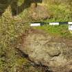 Digital photograph of rock art panel context, Scotland's Rock Art Project, Lurgan Farm 5, Perth and Kinross