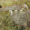 Digital photograph of rock art panel context, Scotland's Rock Art Project, Lurgan Farm 5, Perth and Kinross
