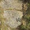 Digital photograph of rock art panel context, Scotland's Rock Art Project, Lurgan Farm 5, Perth and Kinross