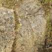 Digital photograph of rock art panel context, Scotland's Rock Art Project, Lurgan Farm 5, Perth and Kinross