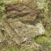 Digital photograph of rock art panel context, Scotland's Rock Art Project, Lurgan Farm 5, Perth and Kinross