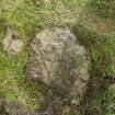 Digital photograph of rock art panel context, Scotland's Rock Art Project, Lurgan Farm 5, Perth and Kinross