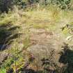 Digital photograph of rock art panel context, Scotland's Rock Art Project, Lurgan Farm 5, Perth and Kinross