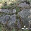 Digital photograph of rock art panel context, Scotland's Rock Art Project, Lurgan Farm 5, Perth and Kinross