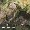 Digital photograph of rock art panel context, Scotland's Rock Art Project, Lurgan Farm 5, Perth and Kinross