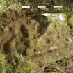 Digital photograph of close ups of motifs, from Scotland's Rock Art Project, Lurgan Farm 5, Perth and Kinross