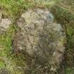 Digital photograph of close ups of motifs, from Scotland's Rock Art Project, Lurgan Farm 5, Perth and Kinross