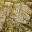 Digital photograph of close ups of motifs, from Scotland's Rock Art Project, Lurgan Farm 5, Perth and Kinross