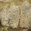 Digital photograph of close ups of motifs, from Scotland's Rock Art Project, Lurgan Farm 5, Perth and Kinross