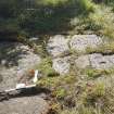 Digital photograph of panel to south, Scotland's Rock Art Project, Lurgan Farm 5, Perth and Kinross