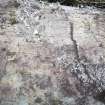 Digital photograph of rock art panel context, Scotland's Rock Art Project, Creag na h-Earpa, Perth and Kinross
