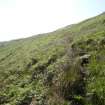 Digital photograph of rock art panel context, Scotland's Rock Art Project, Craigowl, Stone 1, Angus