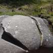 Digital photograph of rock art panel context, Scotland's Rock Art Project, Drumfad, Cowal, Argyll and Bute