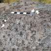 Digital photograph of close ups of motifs, from Scotland's Rock Art Project, Camas Luinie, Highland