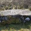 Digital photograph of panel to south, from Scotland's Rock Art Project, Camas Luinie, Highland