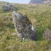 Digital photograph of panel in context with scale, from Scotland's Rock Art Project, Carr, Highland