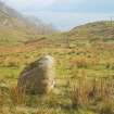 Digital photograph of panel in context without scale, from Scotland's Rock Art Project, Carr, Highland