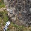 Digital photograph of close ups of motifs, from Scotland's Rock Art Project, Carr, Highland